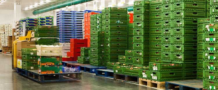 Food Logistics Market Challenges