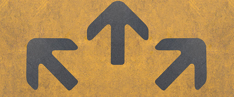 How to choose a Transportation Management Software&nbsp;for your company